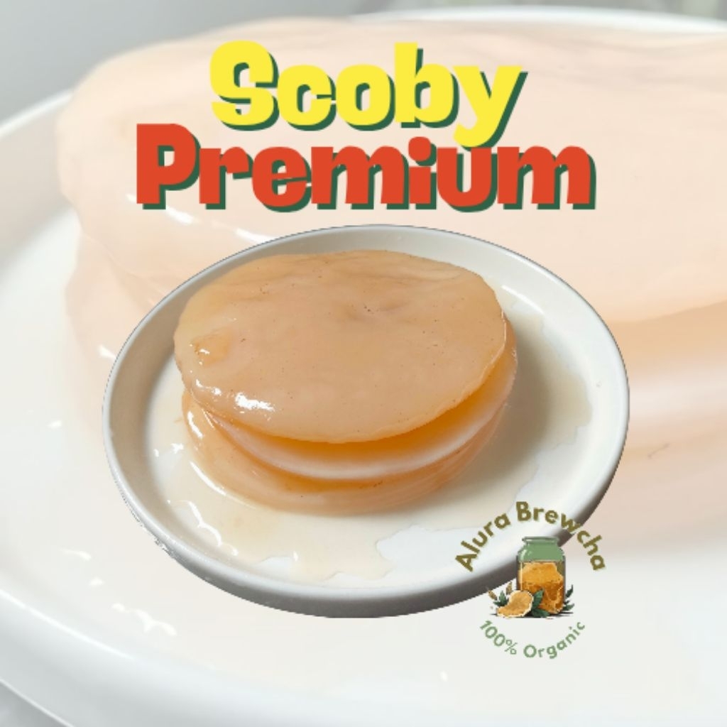 

Scoby Kombucha + starter pack 200ml | Jamur Dipo | jamur scoby