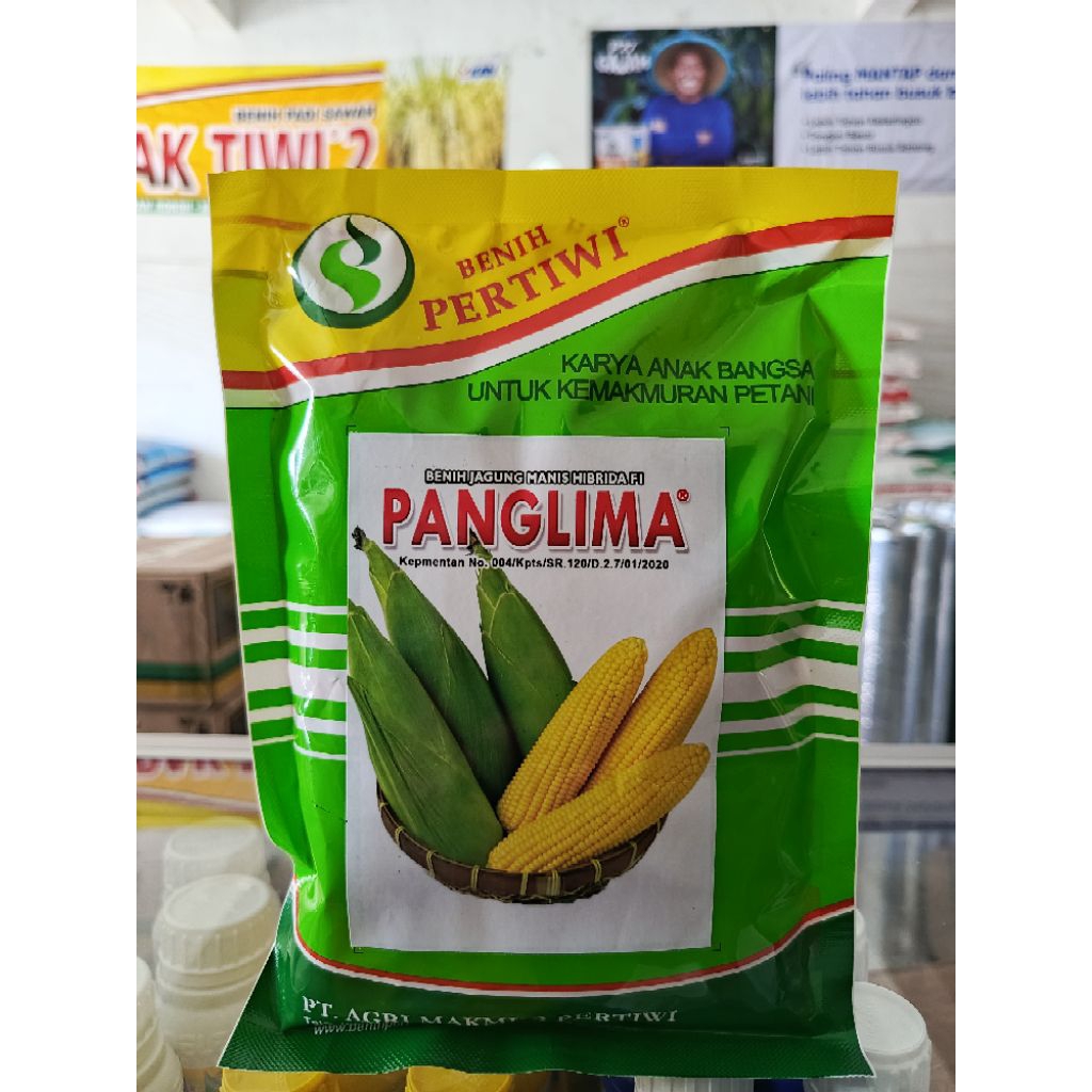 

Panglima