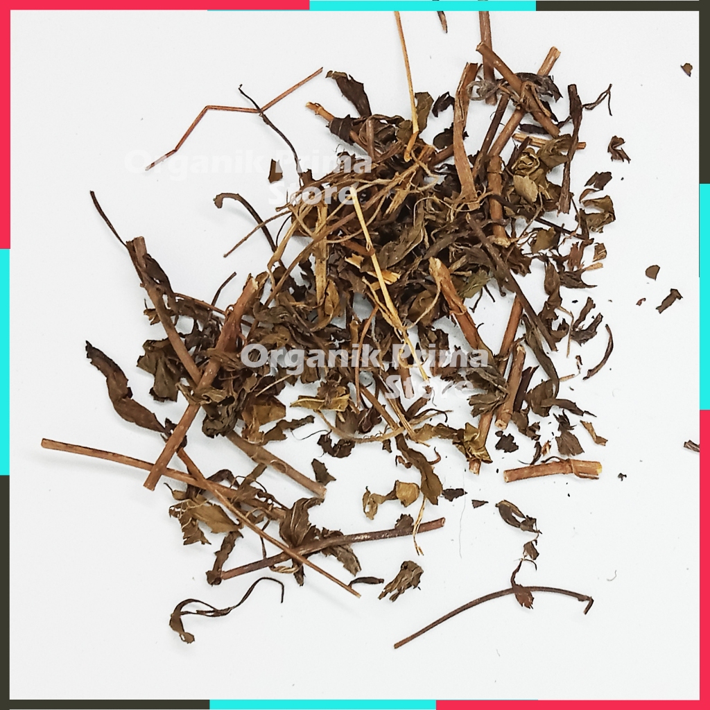 

Daun Kumis Kucing Kering 250gr Asli Bersih dan Organik
