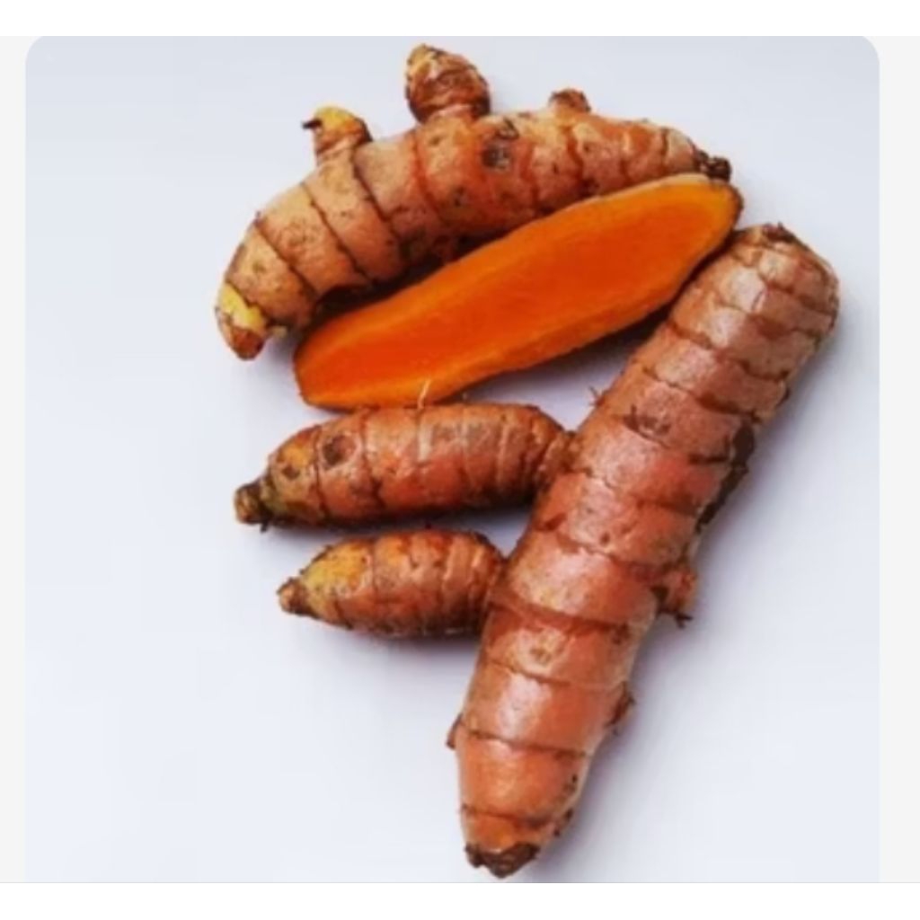 

KUNYIT/KUNIR PRESH/SEGAR BERSIH DAN MURAH BERAT 1 KG