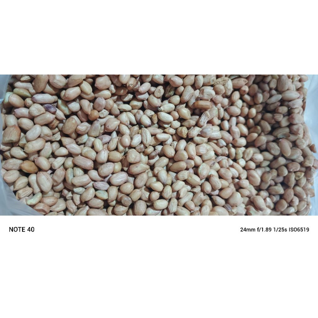 

kacang tanah Lokal jawa timur per kg