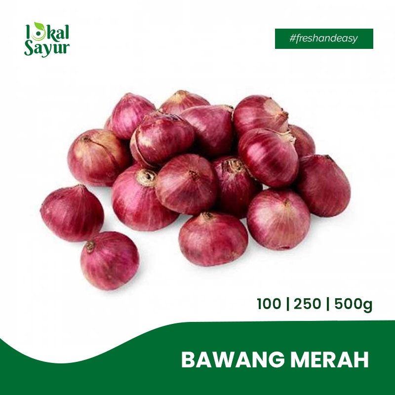 

Lokal Sayur - Bawang Merah Super Pilihan Kualitas Terbaik