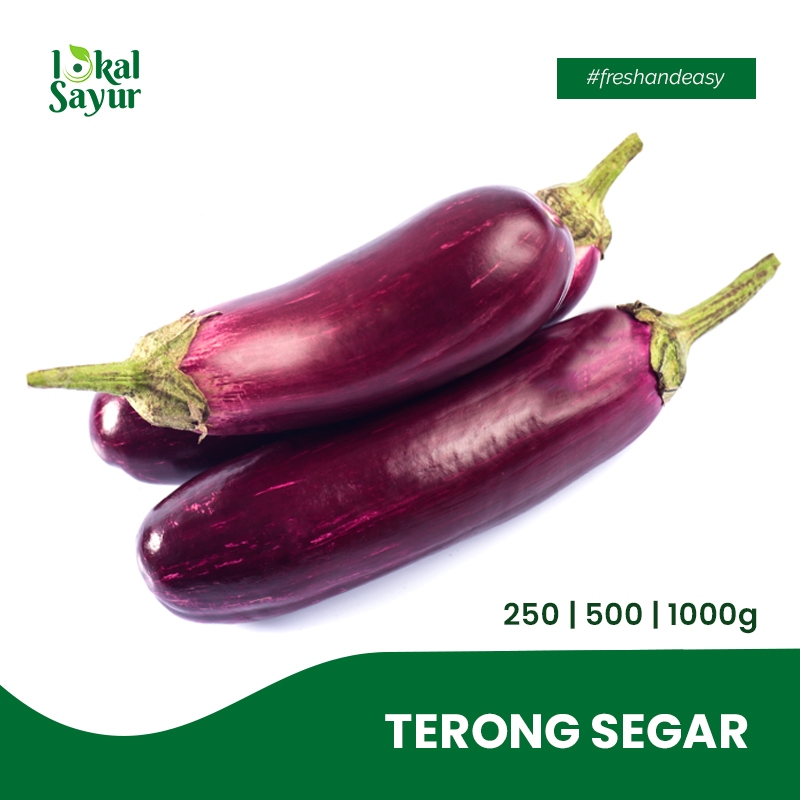 

Lokal Sayur - Terong Segar Pilihan Kualitas Terbaik