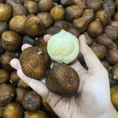 

Buah salak gula pasir manis garing dan fresh 1 kg