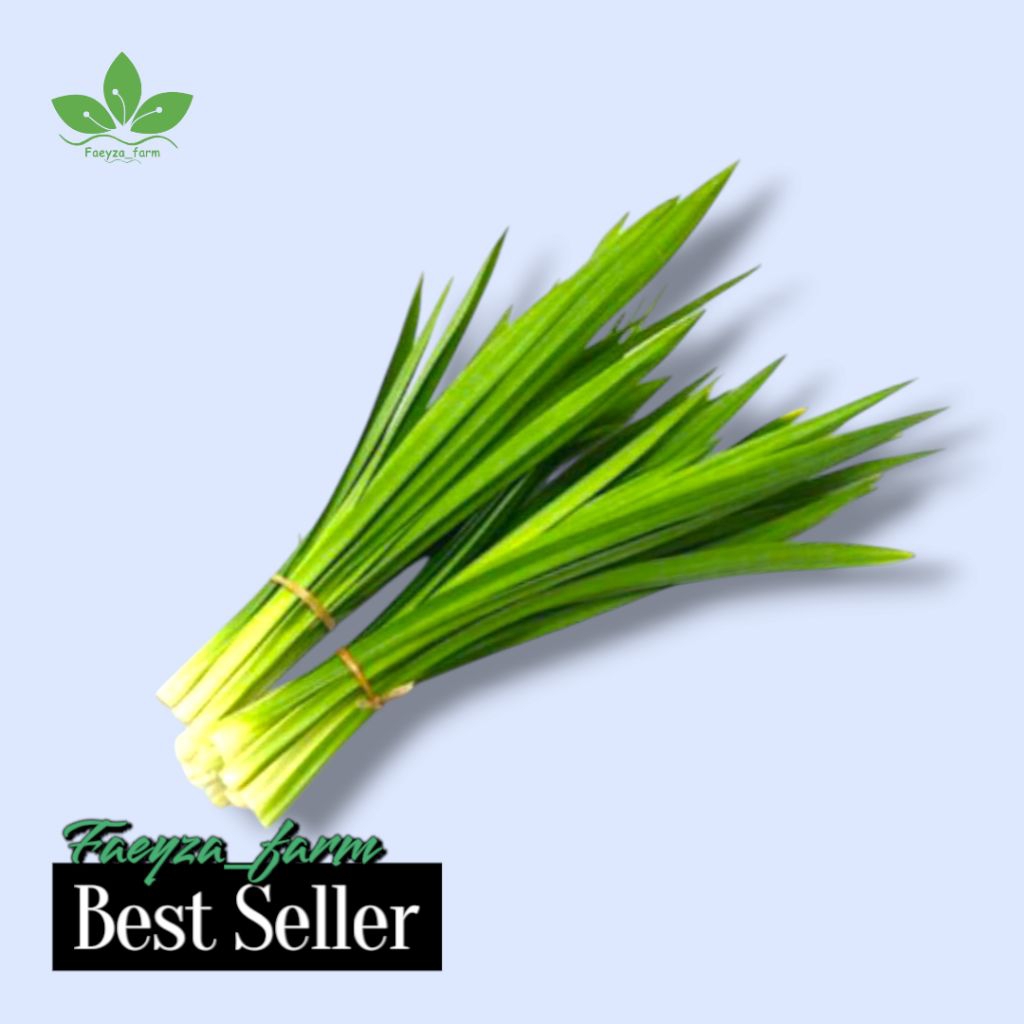 

Daun pandan wangi segar/pewarna alami