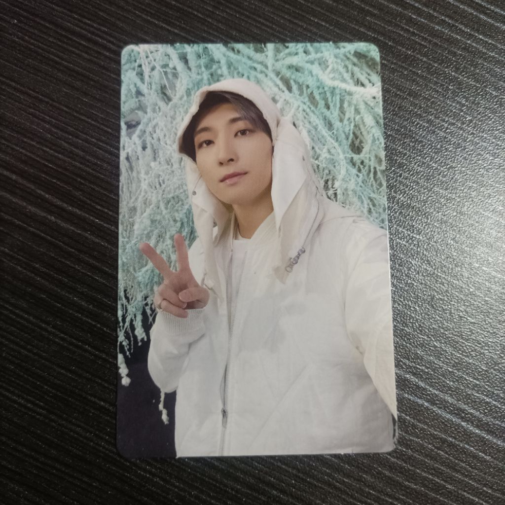 Wonwoo Seventeen Sector 17 Photocard Official