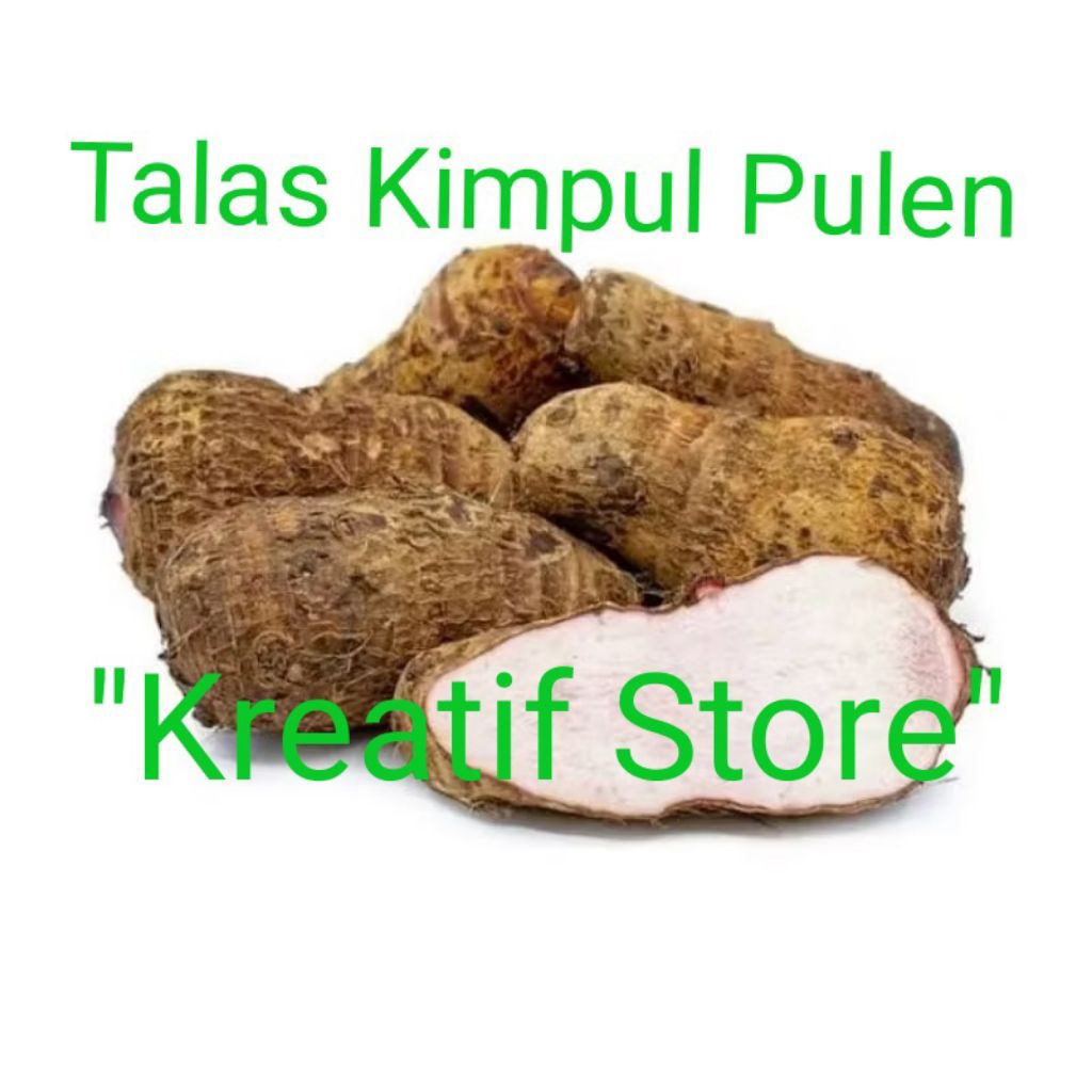 

UBI TALAS PULEN KIMPUL/ Talas bogor / Isi 1kg Segar Enak "kreatif store