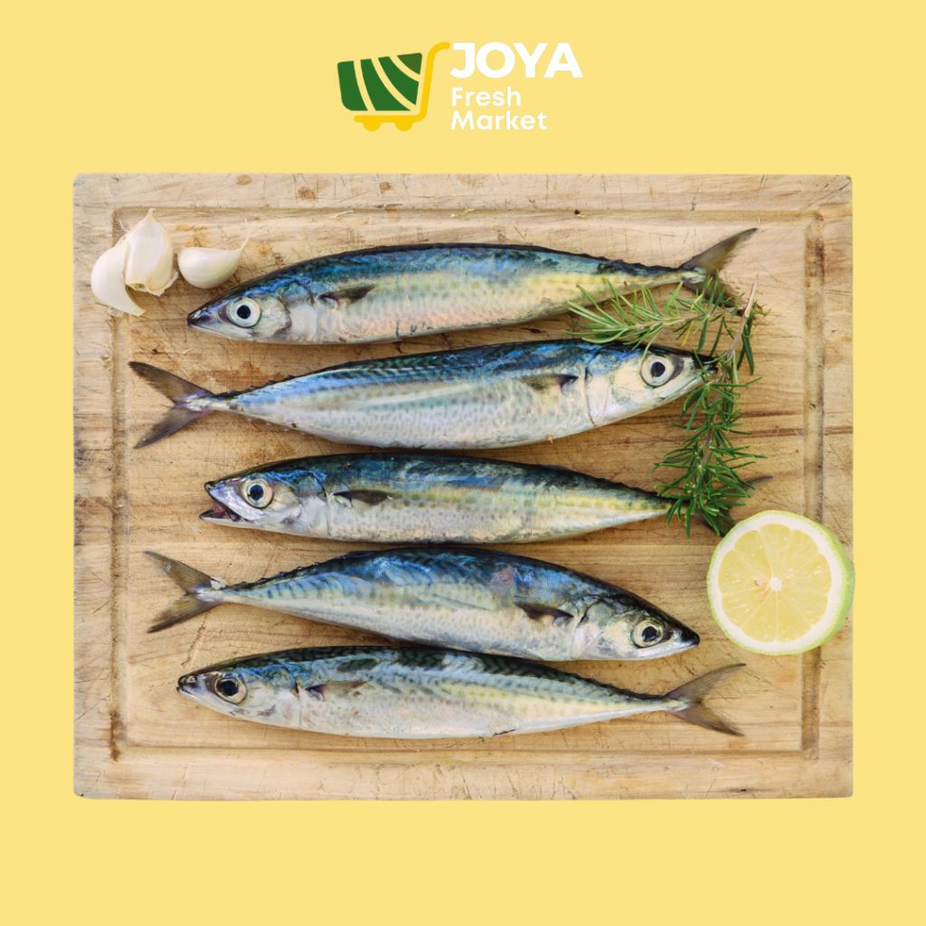 

Joya Fresh - Ikan Dencis Dungun Segar/Seafood Segar/Ikan Dencis Fresh