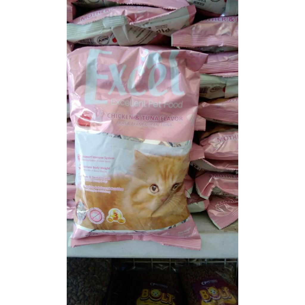 pakan anakan kucing
