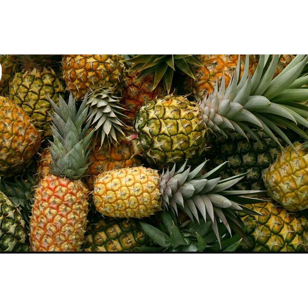 

Buah Nanas Segar 500 gram Manis