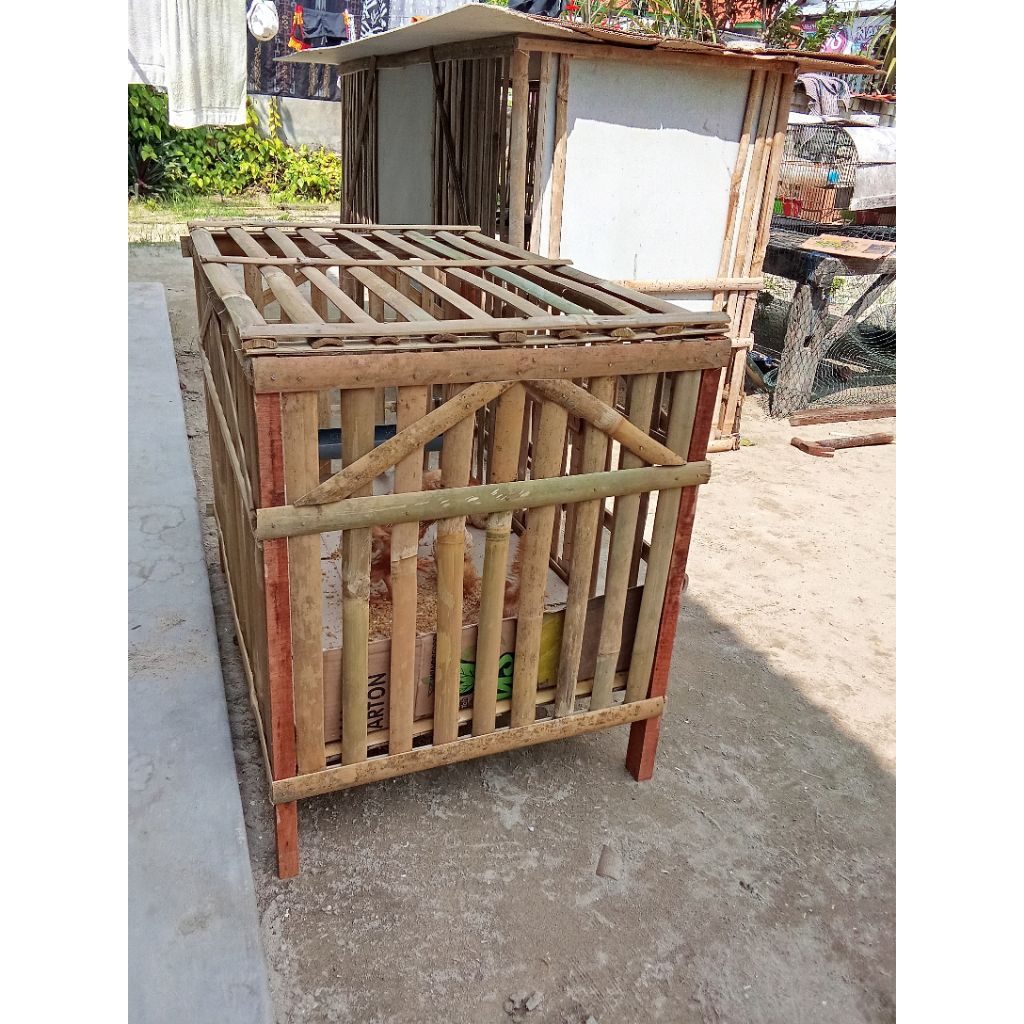 Kandang ayam/Kandang anak ayam kandang bambu lipat