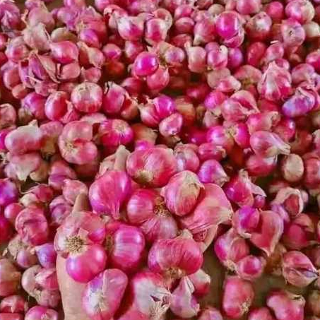 

bawang merah kering dan bersih ukuran super(500gr dan 1000gr)kualitas premium