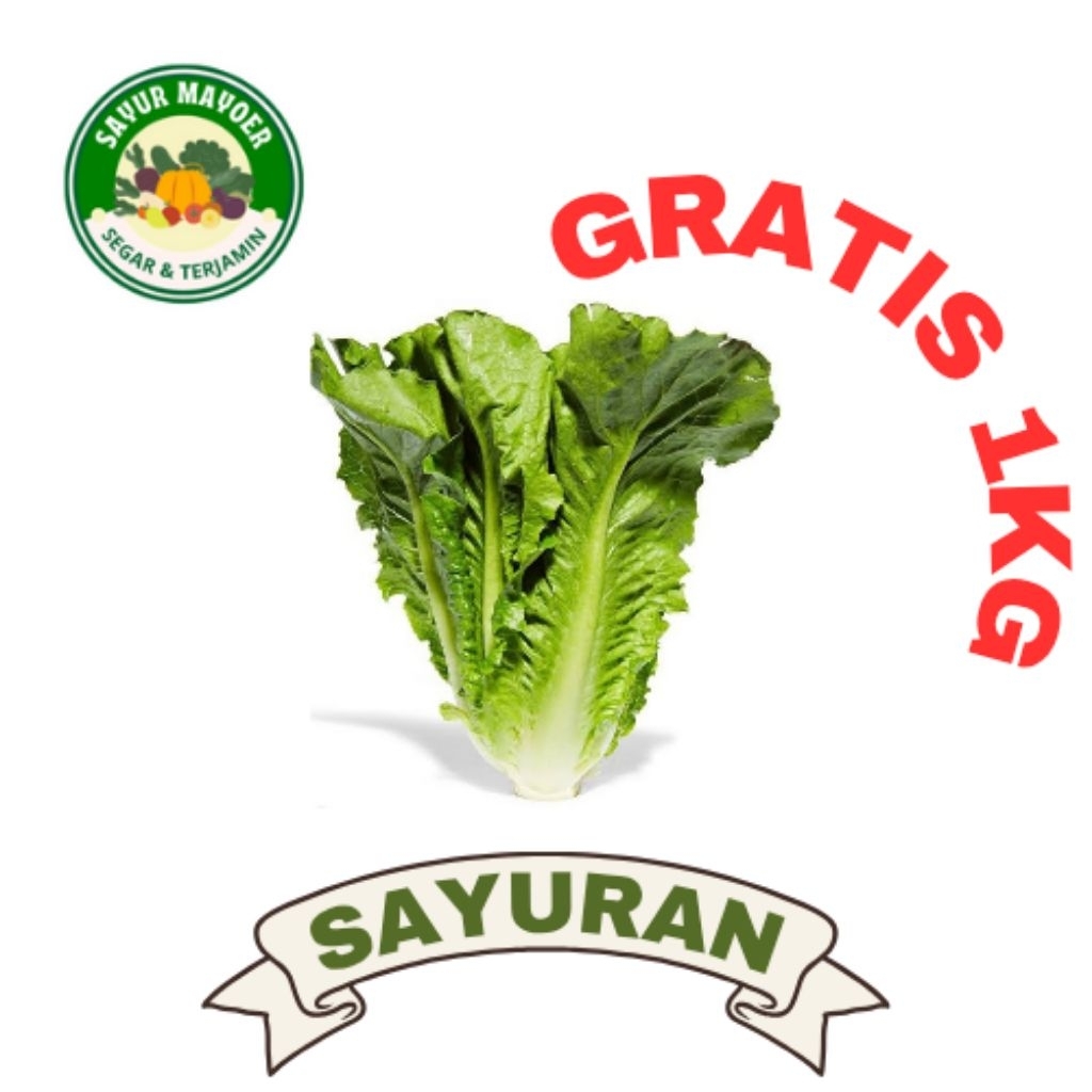 

LETTUCE ROMAINE per 500g