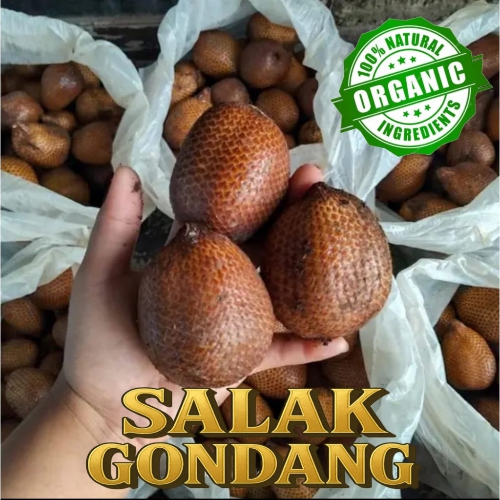 

Salak GONDANG/BALI Petik langsung kebun, Rasa MANIS,ASAM,BERAIR