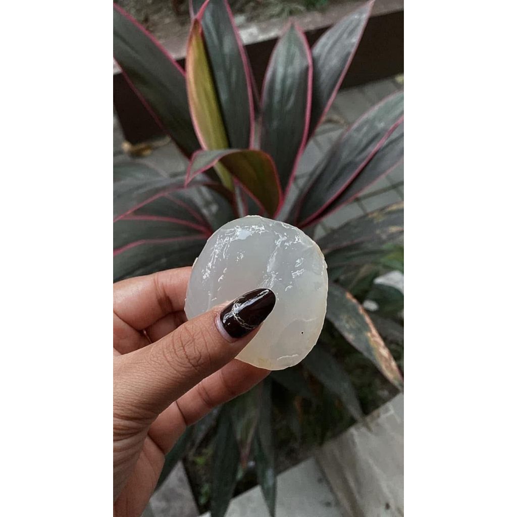 

buah siwalan.. buah ental, enak kenyil kenyil