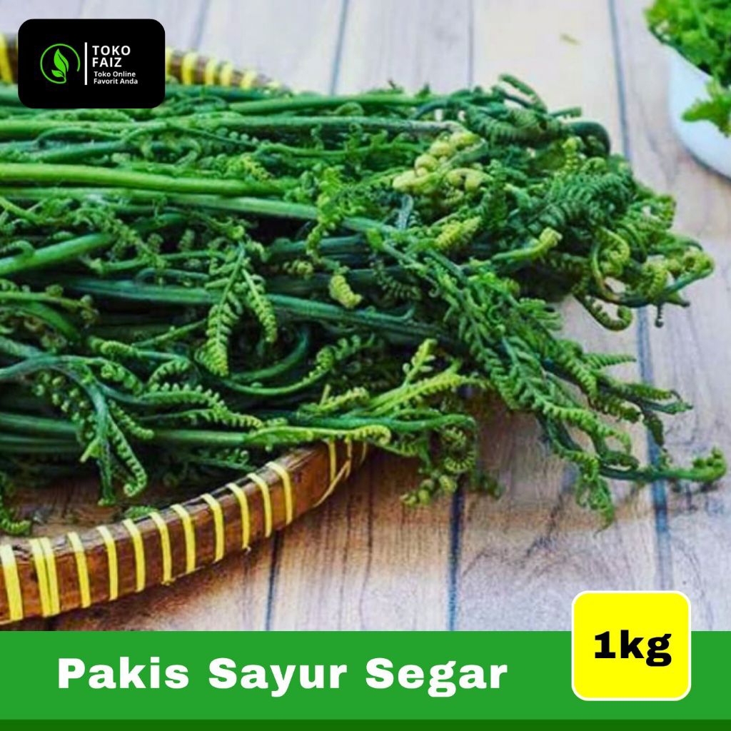 

Pakis sayur fres (1kg)