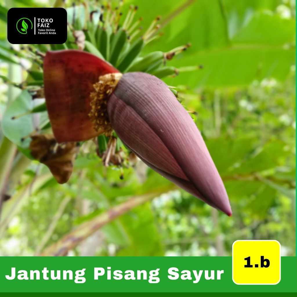 

jantung pisang sayur [Perbiji]