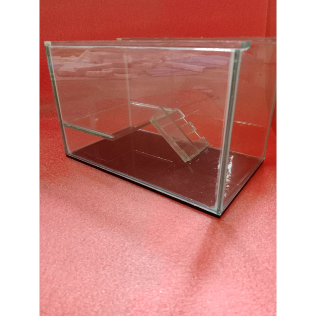 Aquarium kaca KURA KURA 25*15*15 // aquarium tempat kura kura // Tank kura kura // AQUARIUM //AKUARI