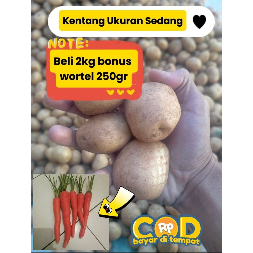 

Favorit No.1 Beli 2kg Kentang Sedang Bonus 250gr wortel