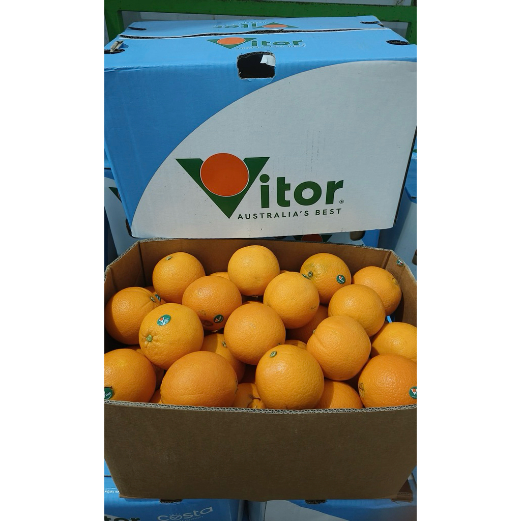 

Jeruk Navel Australian | Jeruk Navel Victor Australian 9kg | Box