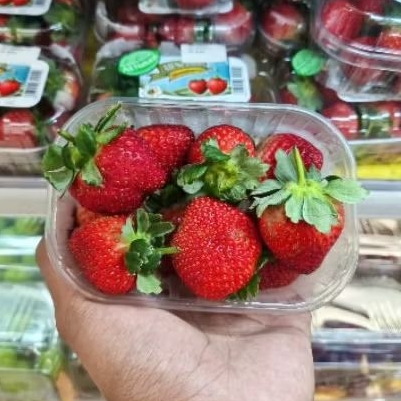 

Buah strawberry all season super natural premium pack