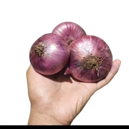 

Bombay merah super high Quality 1 kg