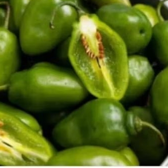 

Cabai gendot Cabai Viral 500 gram