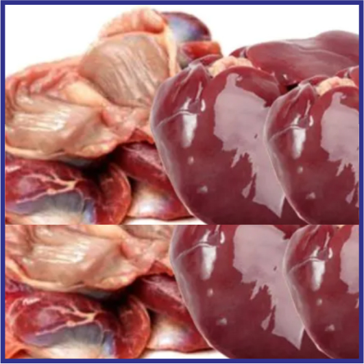 

Hati ampela Ayam Kampung Hati/Ampela