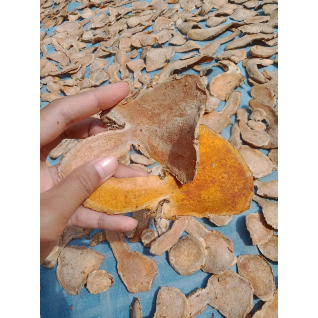 

Temu Lawak| temulawak herbal|herbal |obat herbal | nafsu makan | penambah nafsu makan | temu garing | temu kering| temu murah meriah |temu produksi sendiri | temu premium | temu berkualitas tinggi | temu asli | temulawak herbal alami| kesehatan| punya