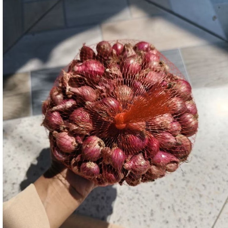 

BAWANG MERAH LOKAL 500GR