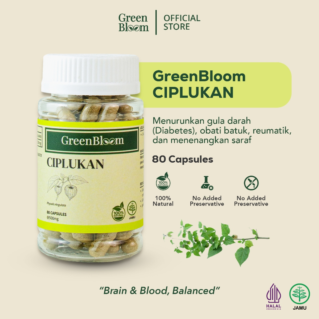 GreenBloom Ciplukan - Stroke, Terapi Syaraf dan Otak, Diabetes, Peradangan | Obat Herbal Jamu Kapsul