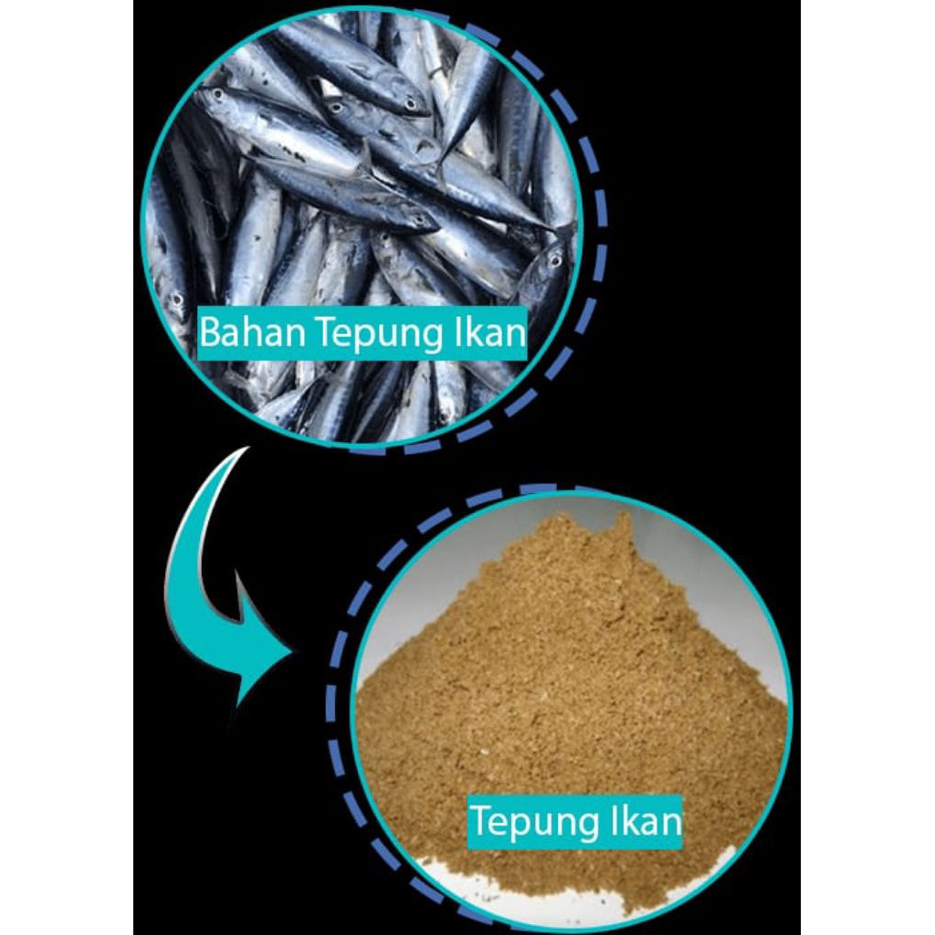 pakan hewan Tepung ikan Giling Murni