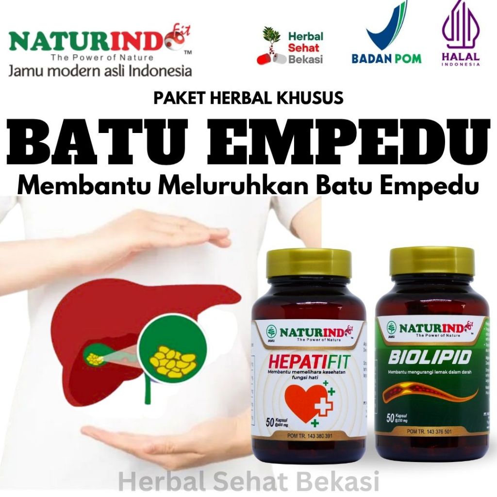 Herbal Batu Empedu Pelarut Batu Empedu Biolipid Naturindo