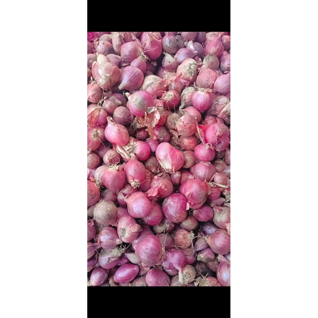 

bawang merah bima/brambang harga 1 kg