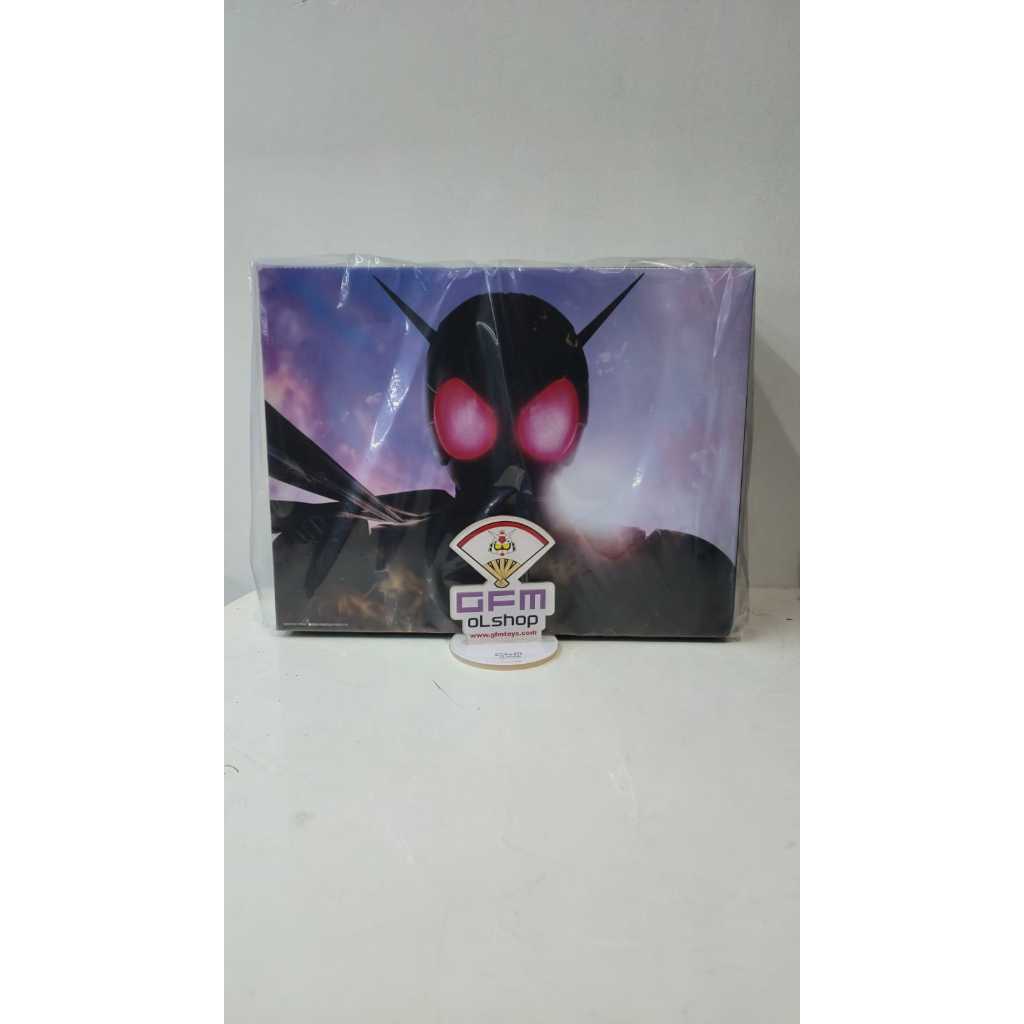 Kamen Rider W Double Driver Box