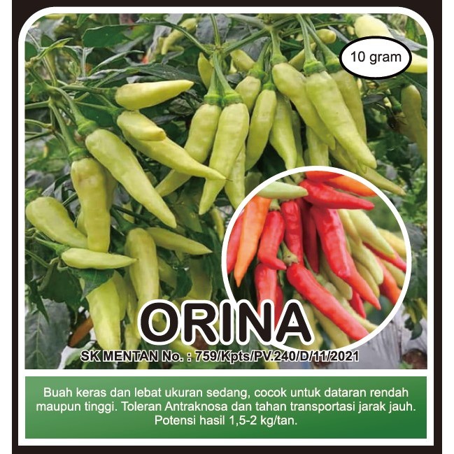 

ORINA Cabai Rawit