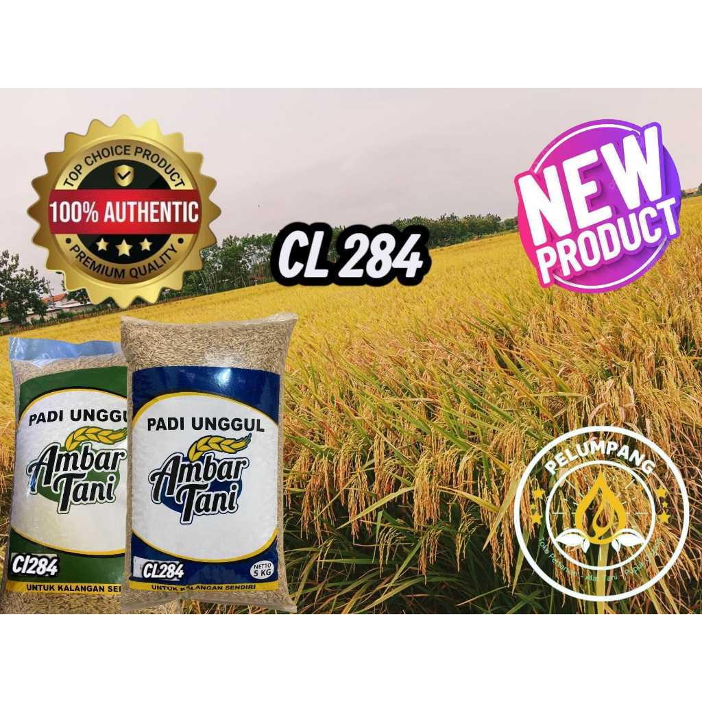 Benih Bibit Padi CL284 Premium