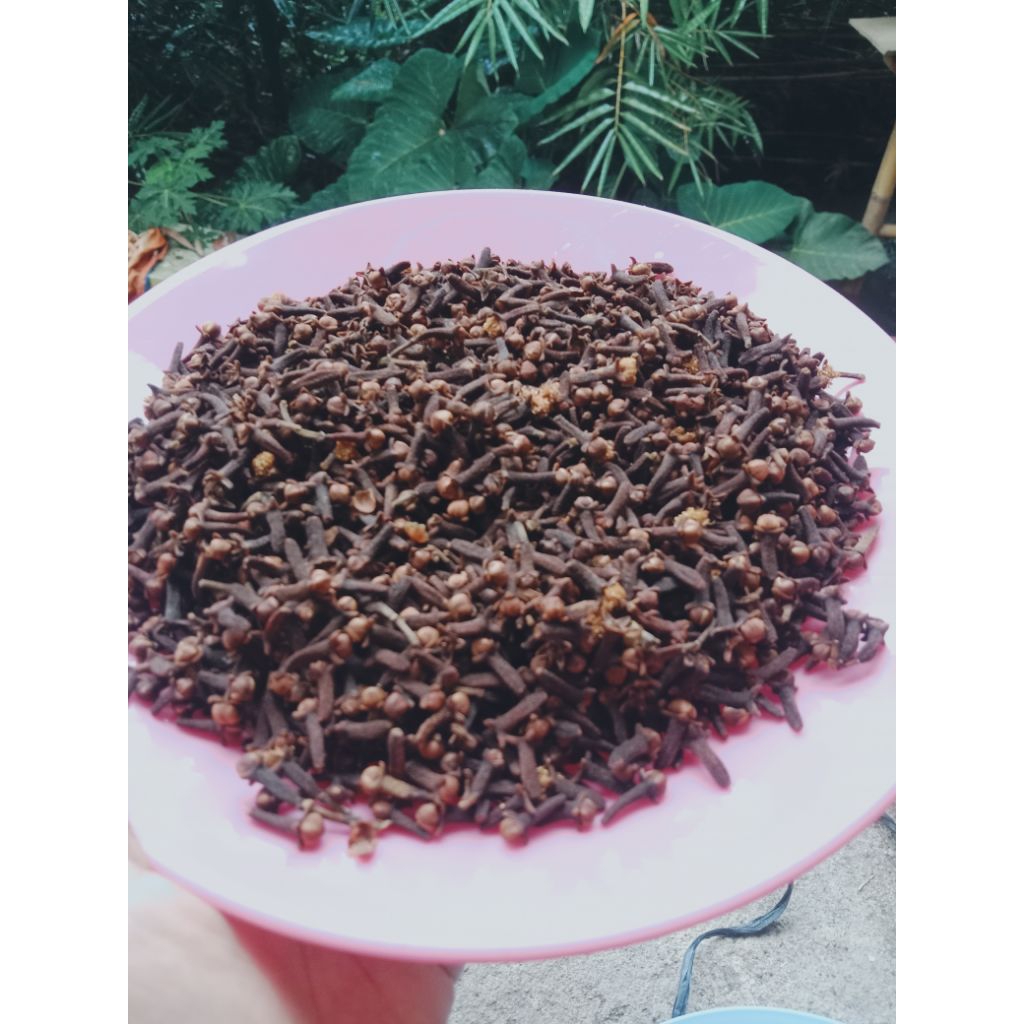

CENGKEH UTUH /CLOVES/ hasil bumi