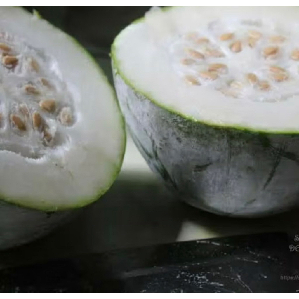 

buah bligo buah kundur beligo obat herbal 1 kg - 1,5 kg