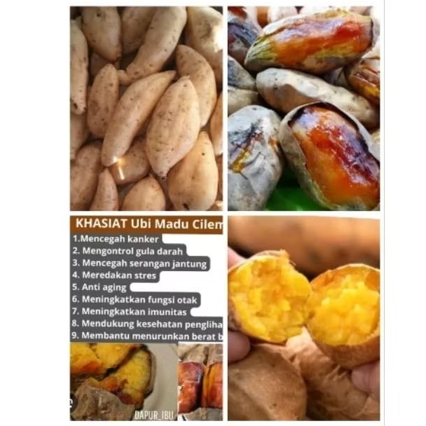 

Ubi Cilembu Speak Oven Besar 1 Kg
