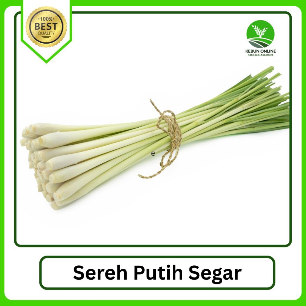

Sereh/ Serai Segar 1 Ikat Murah COD Hemat wangi