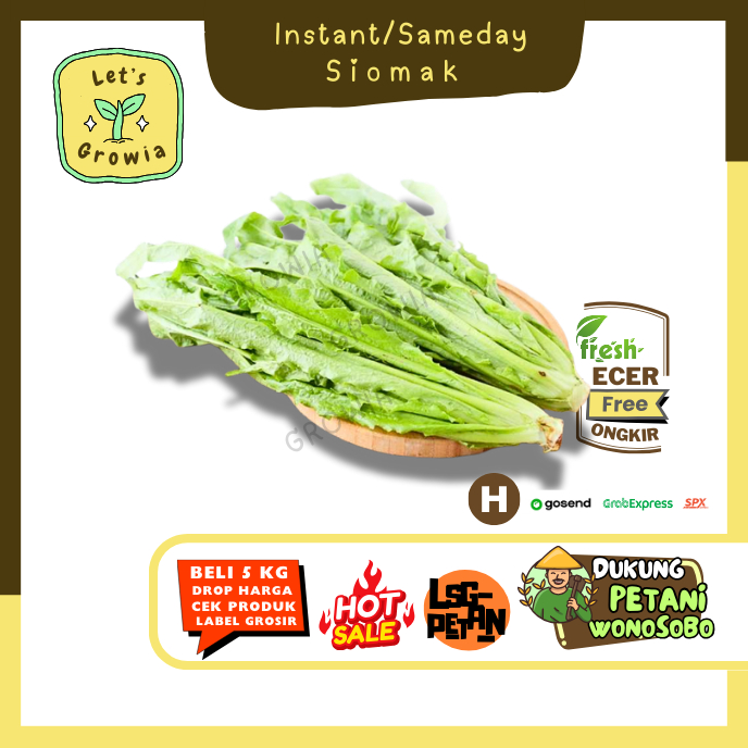 

Growia || Siomak / Selada Wangi --Hasil Petani Langsung Ecer Sayur Gunung (H)