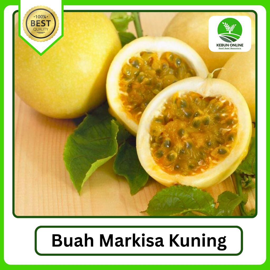 

Buah Markisa Kuning Asam Segar [500g] Fresh COD Murah