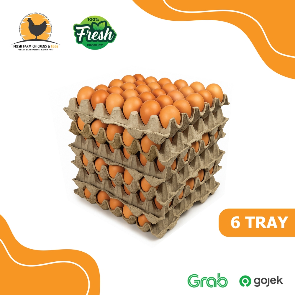 

Telur Ayam Negeri Premium Fresh Grade A - 6 Tray