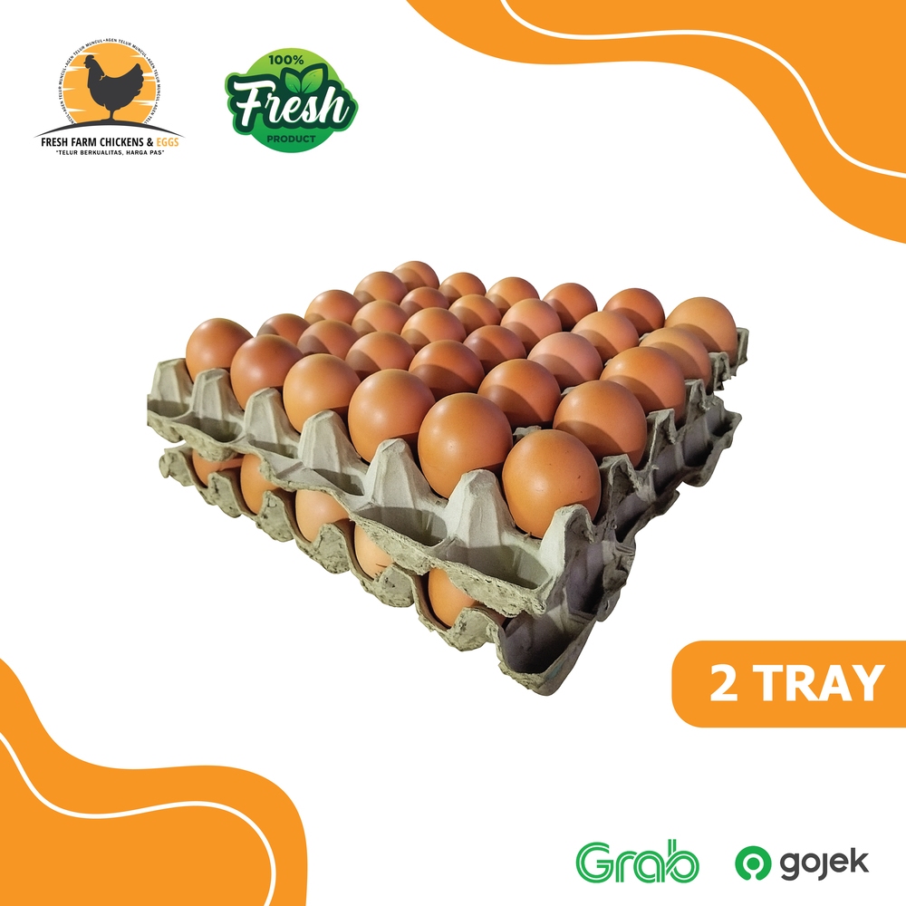 

Telur Ayam Negeri Premium Fresh Grade A - 2 Tray Isi 60 Pcs