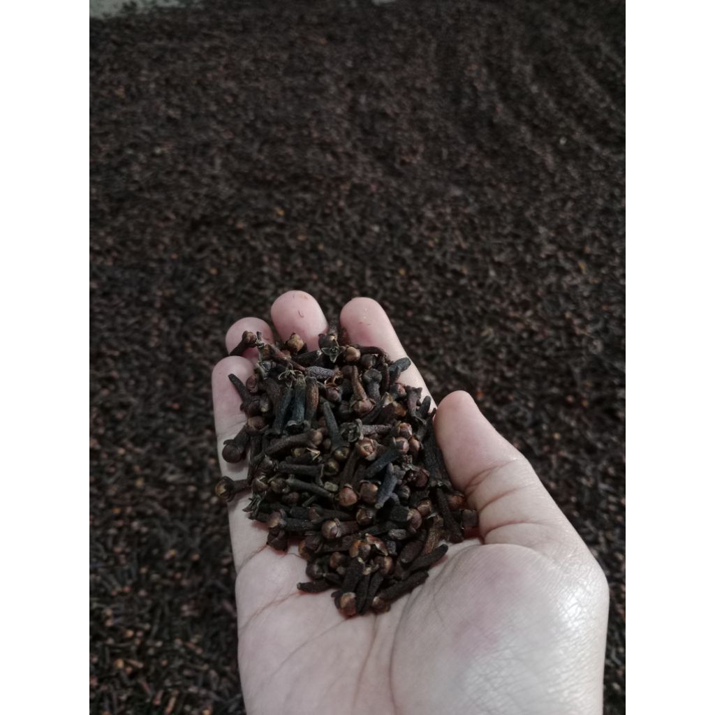 

cengkeh kering 250gram