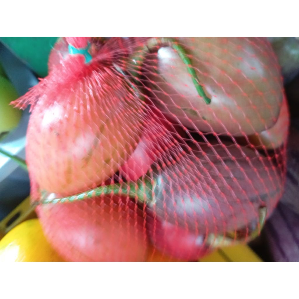 

BUAH TERONG BELANDA segar