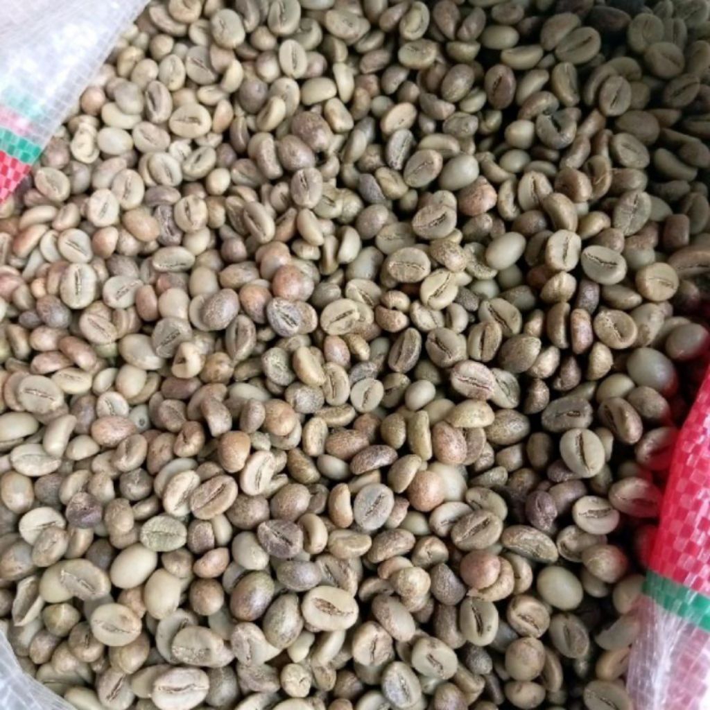 

green bean biji kopi robusta temanggung asalan