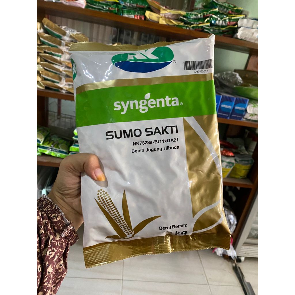 NK Sumo Sakti / NK Sumo Sakti