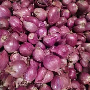 

Bawang Merah Besar 150Gr